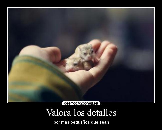 Valora los detalles - por más pequeños que sean