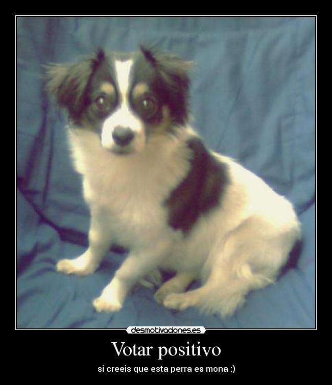 Votar positivo -