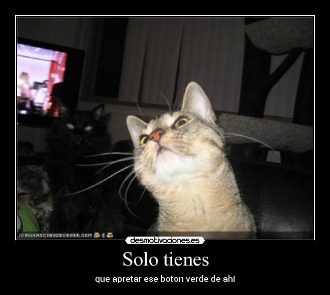 Solo tienes -