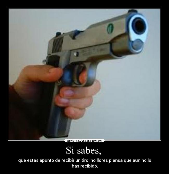 carteles cry desmotivaciones