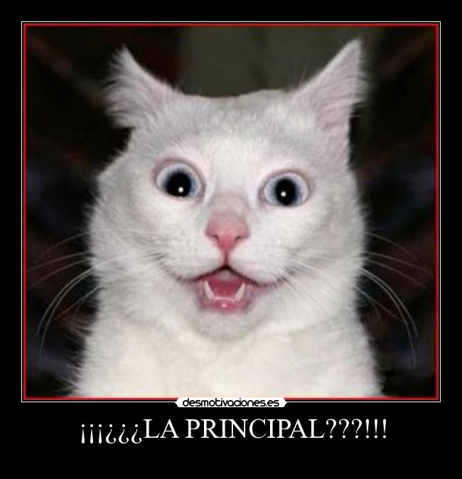 ¡¡¡¿¿¿LA PRINCIPAL???!!! - 