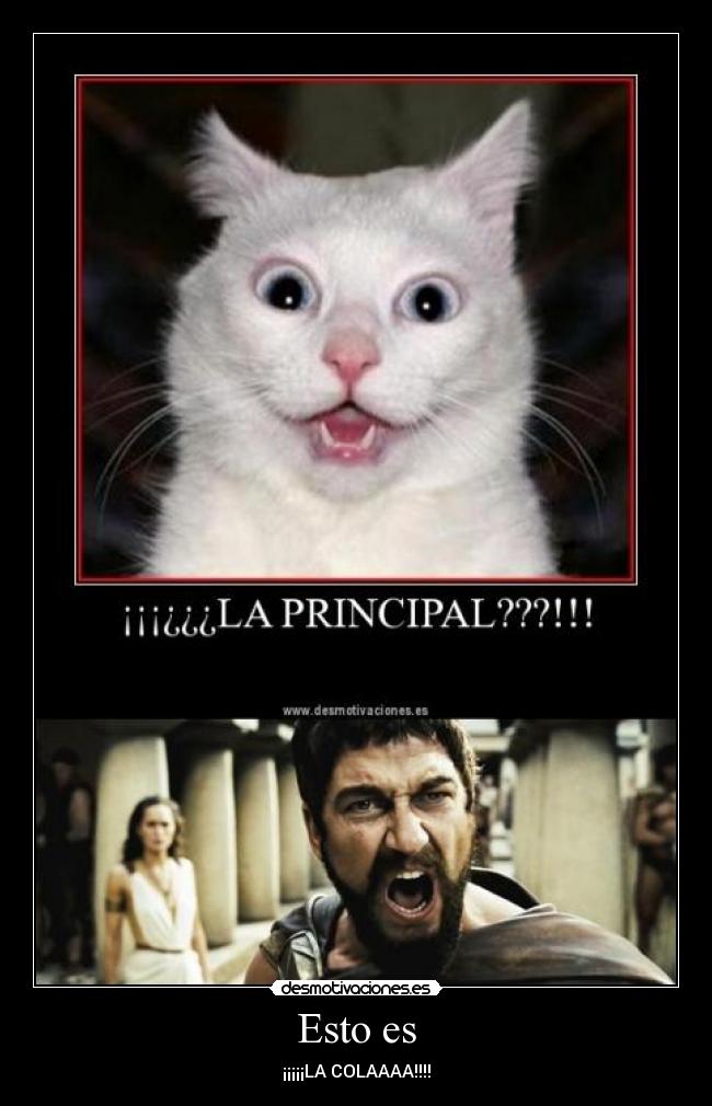 Esto es - ¡¡¡¡¡LA COLAAAA!!!!