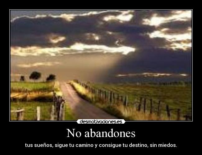 No abandones - 