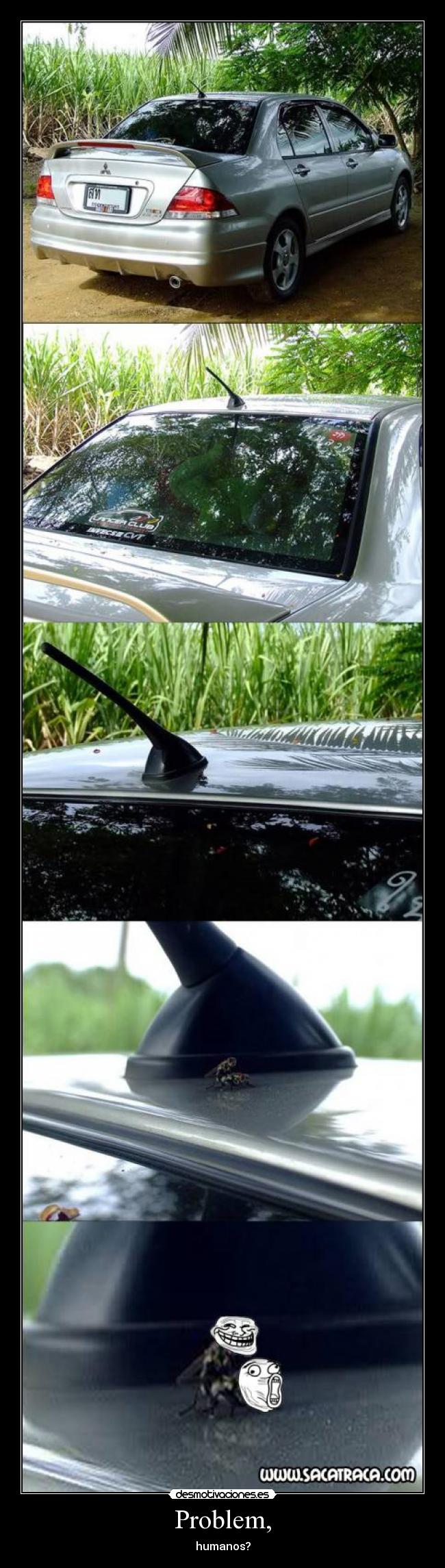 carteles moscas follando problem desmotivaciones