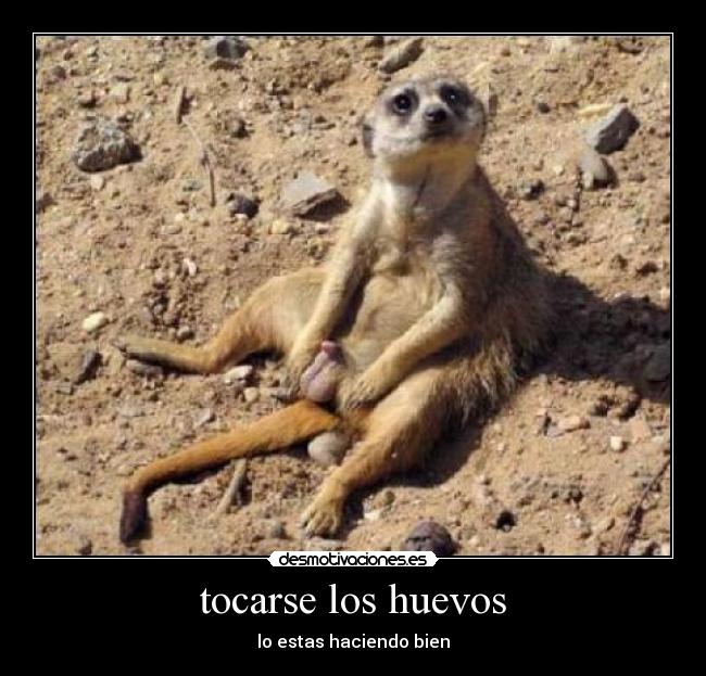 tocarse los huevos -