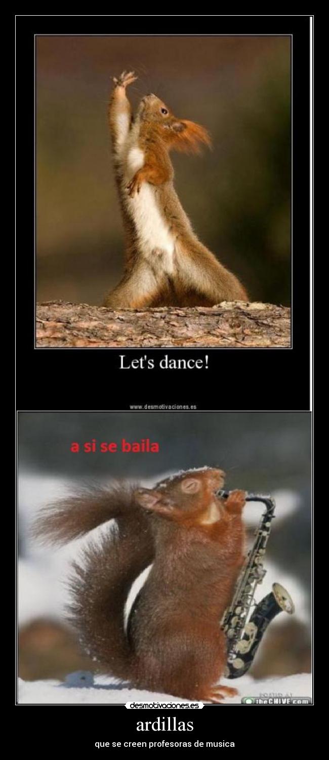 ardillas - que se creen profesoras de musica