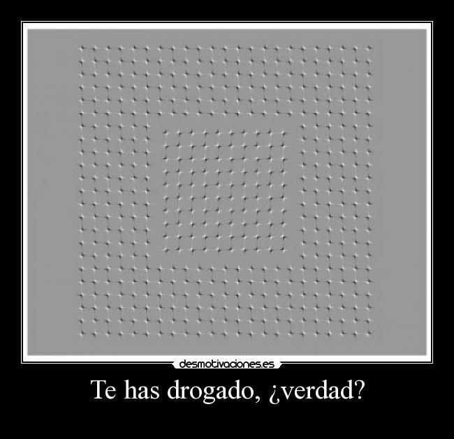 Te has drogado, ¿verdad? -