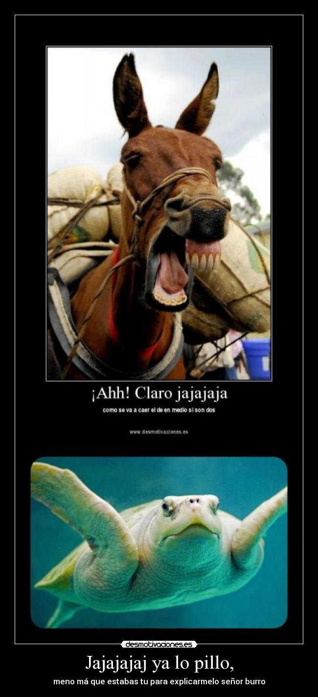 Jajajajaj ya lo pillo, - 