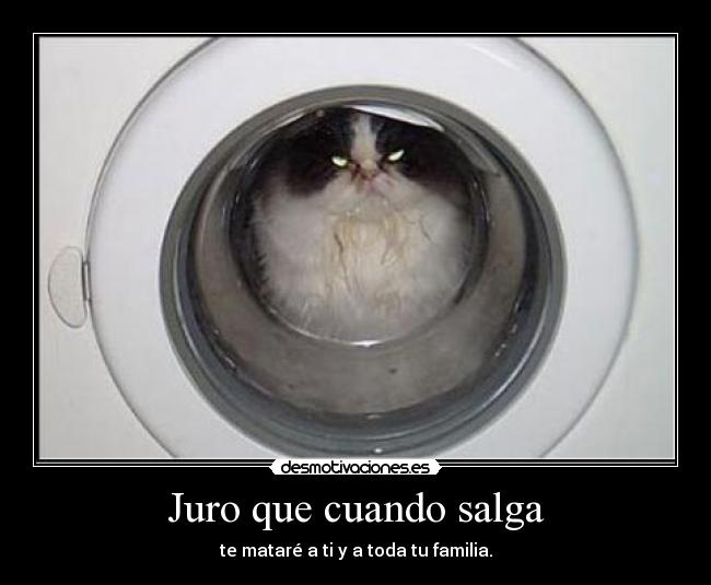 Juro que cuando salga -