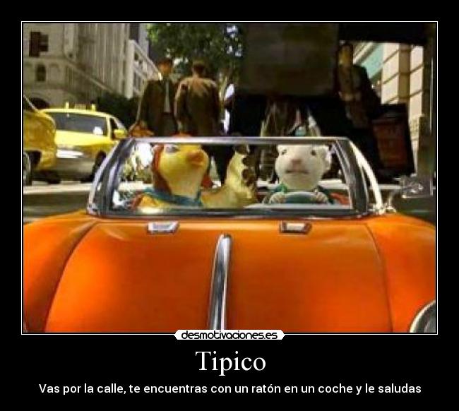 Tipico -