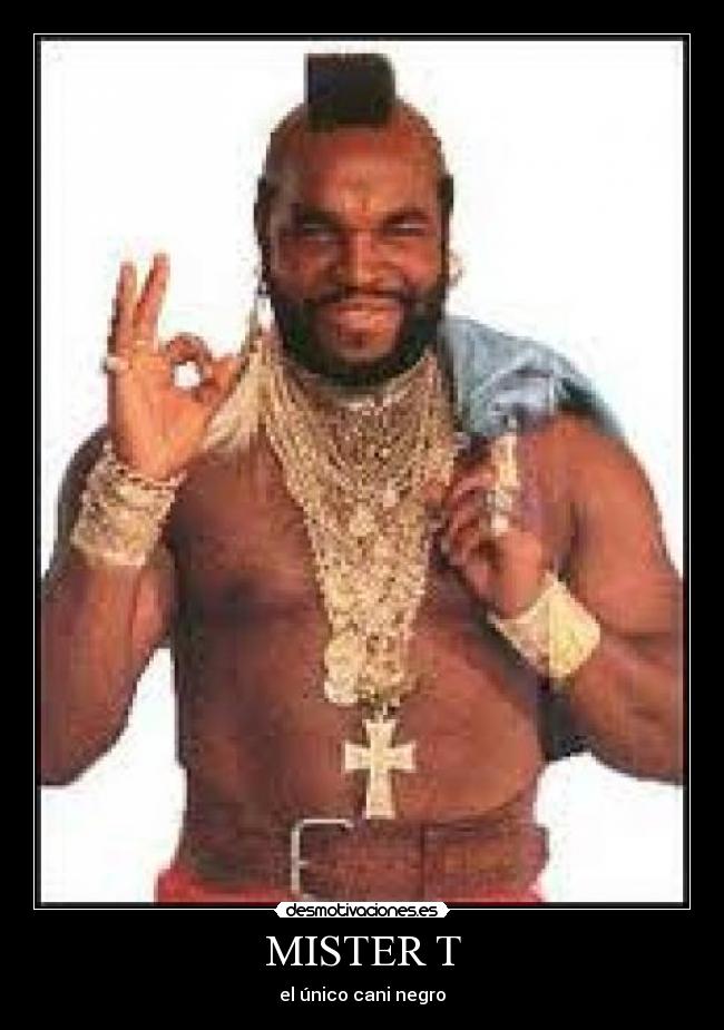 MISTER T - el único cani negro