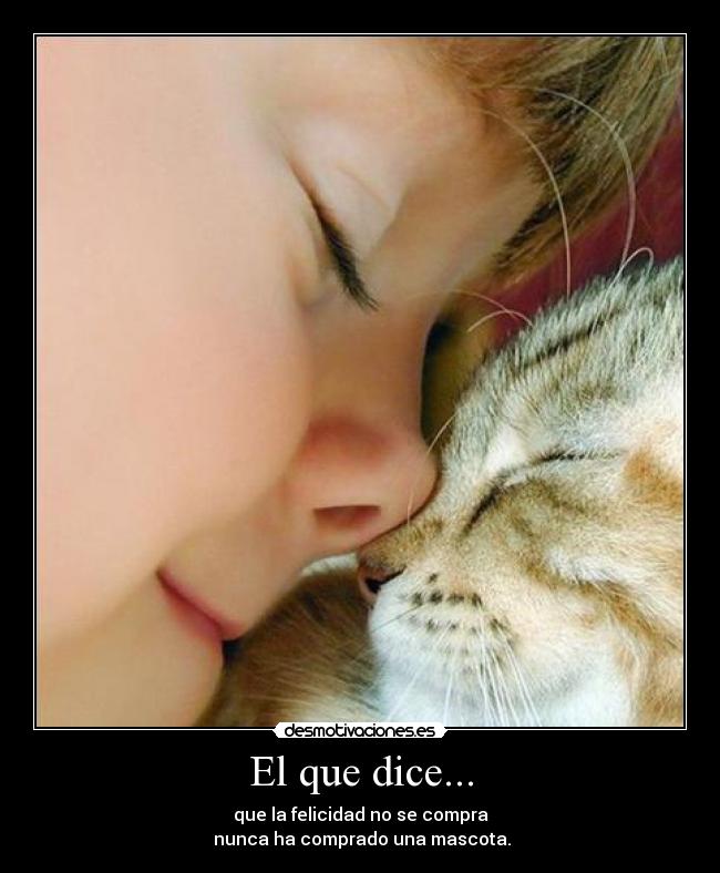El que dice... - que la felicidad no se compra
 nunca ha comprado una mascota.