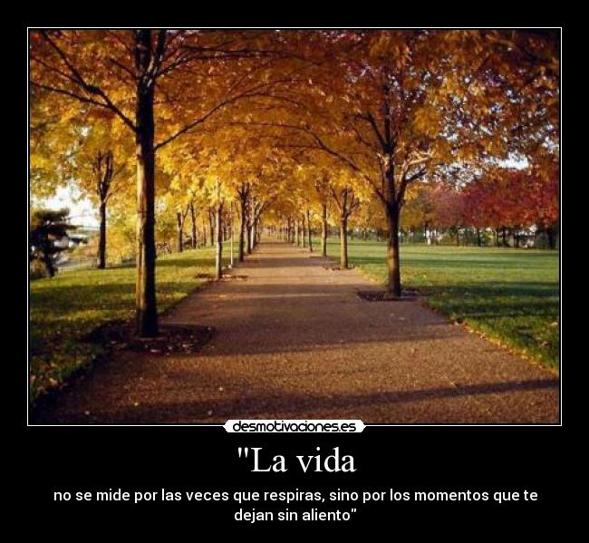 La vida - no se mide por las veces que respiras, sino por los momentos que te
dejan sin aliento