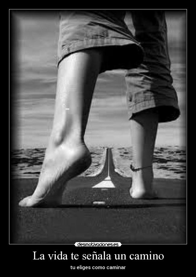 La vida te señala un camino - tu eliges como caminar