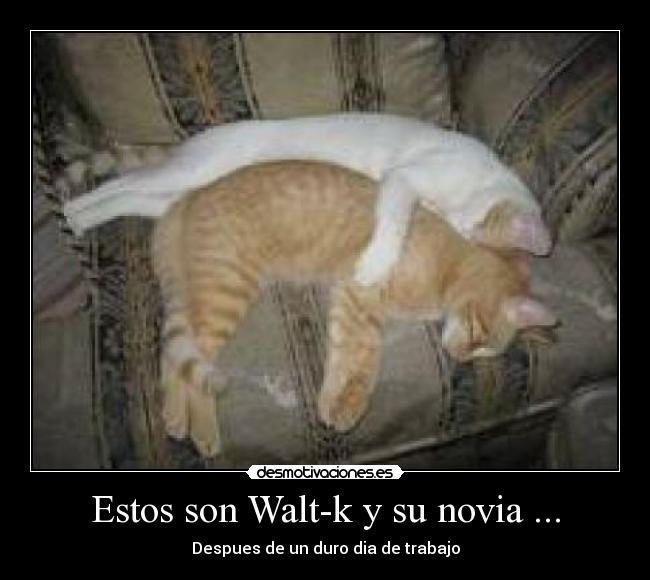 Estos son Walt-k y su novia ... -
