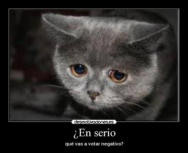 ¿En serio - qué vas a votar negativo?