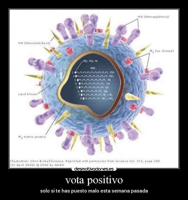 vota positivo - solo si te has puesto malo esta semana pasada