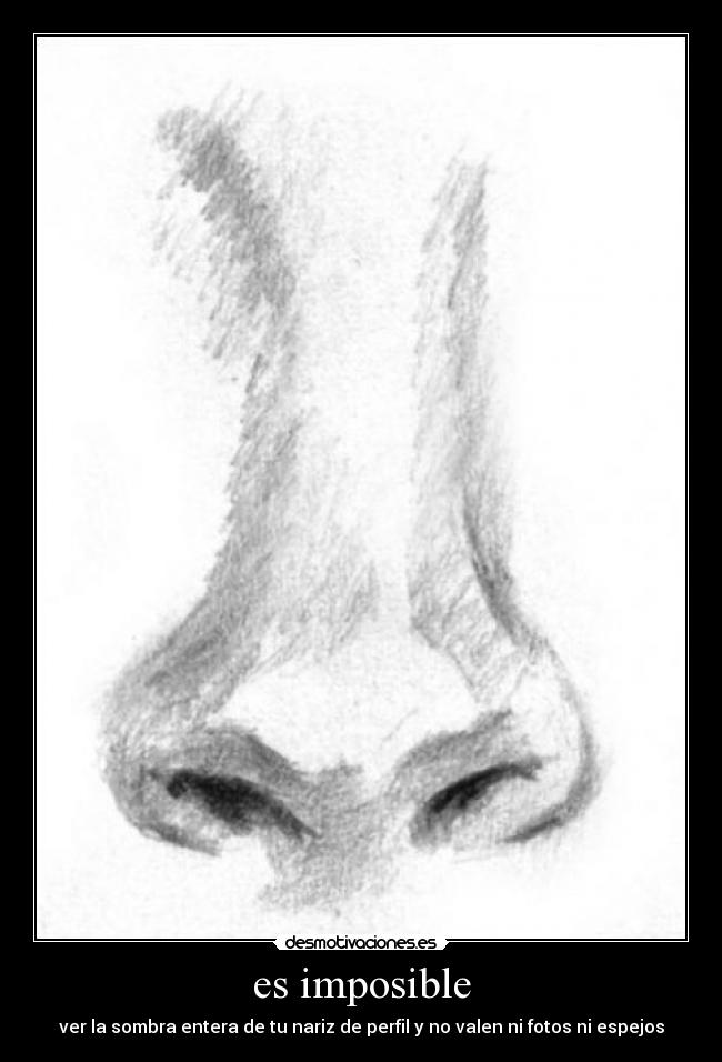 es imposible - ver la sombra entera de tu nariz de perfil y no valen ni fotos ni espejos