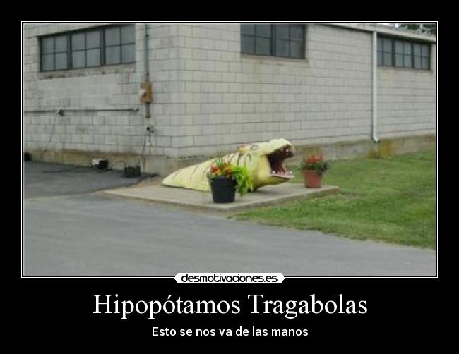 Hipopótamos Tragabolas - Esto se nos va de las manos