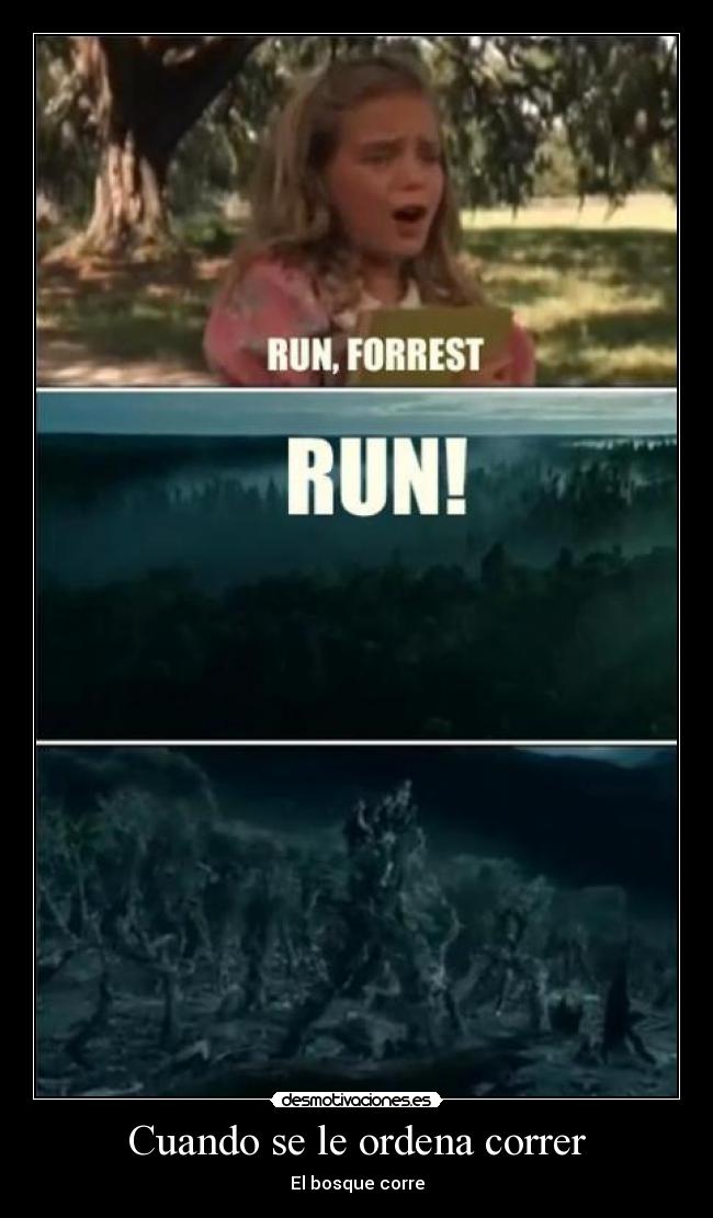 Cuando se le ordena correr - El bosque corre