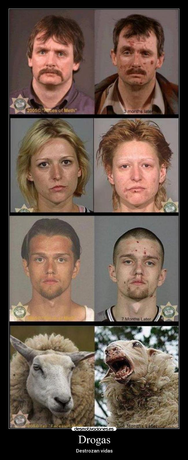 Drogas - Destrozan vidas