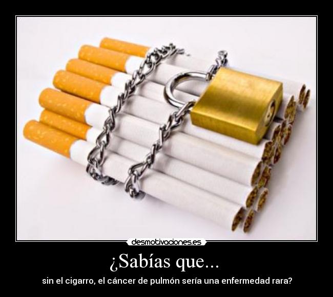 ¿Sabías que... - sin el cigarro, el cáncer de pulmón sería una enfermedad rara?
