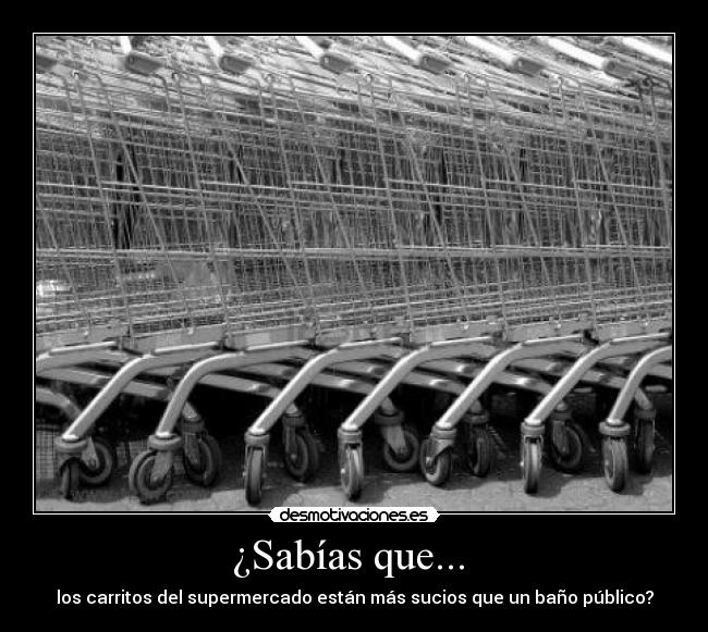 ¿Sabías que... - los carritos del supermercado están más sucios que un baño público?