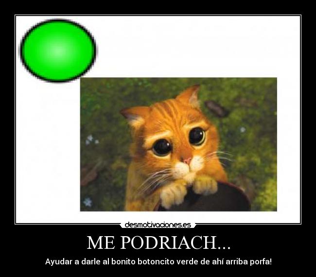 ME PODRIACH... - 