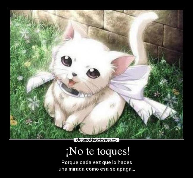 ¡No te toques! - Porque cada vez que lo haces
una mirada como esa se apaga...
