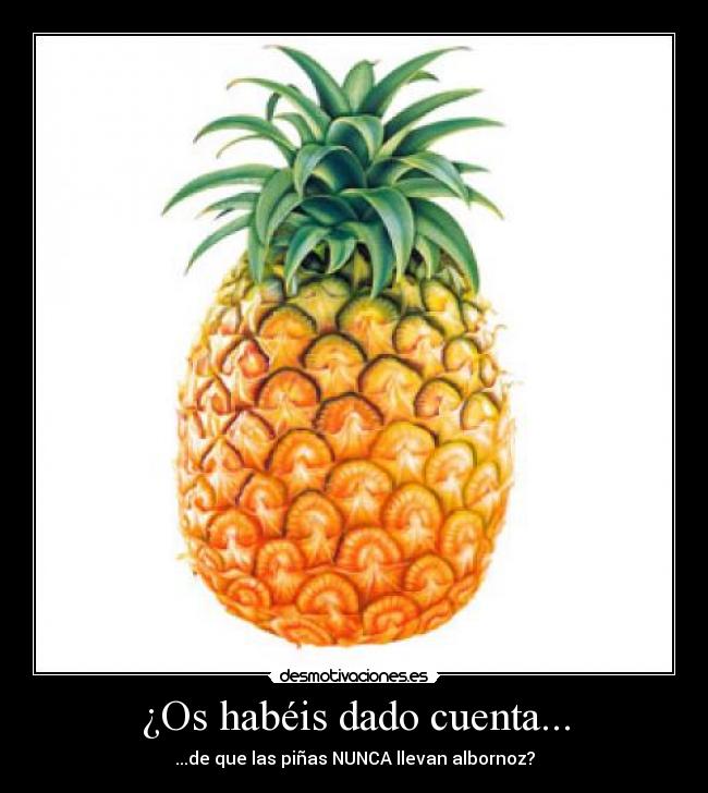 ¿Os habéis dado cuenta... - 