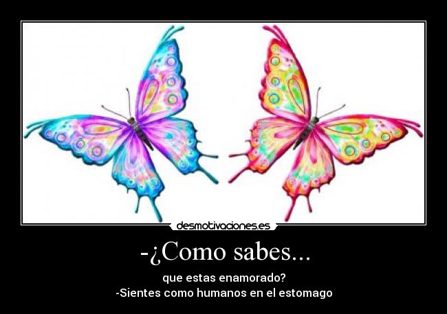 carteles mariposas desmotivaciones