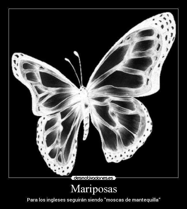 Mariposas - 