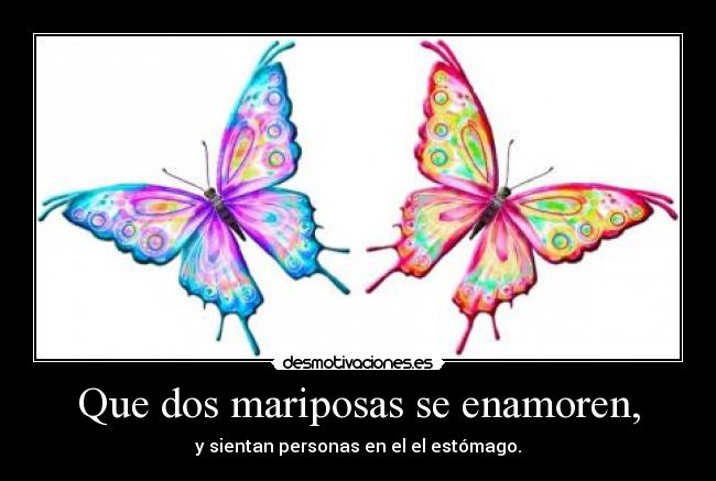 Que dos mariposas se enamoren, - y sientan personas en el el estómago.