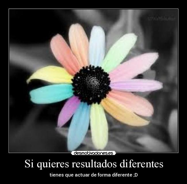 carteles ilir desmotivaciones