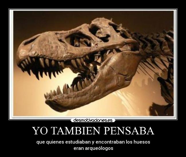 YO TAMBIEN PENSABA - que quienes estudiaban y encontraban los huesos
eran arqueólogos