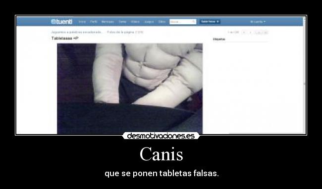 Canis - 