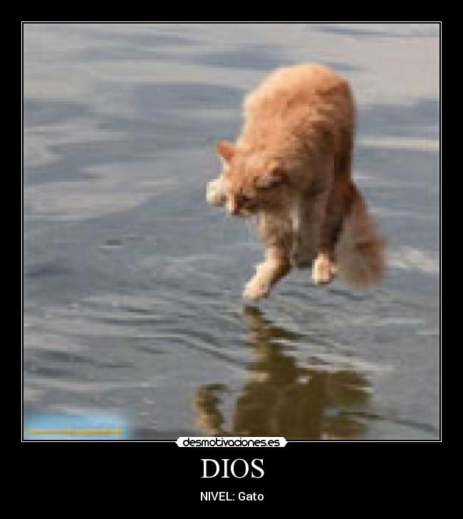 DIOS -