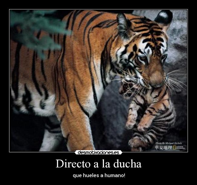 Directo a la ducha - 