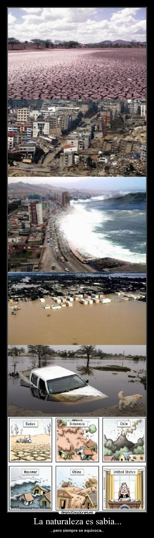 La naturaleza es sabia... - 