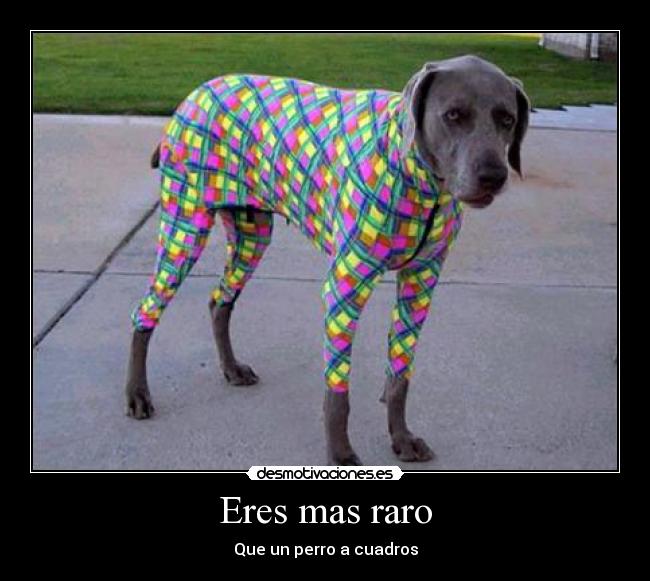 Eres mas raro - 