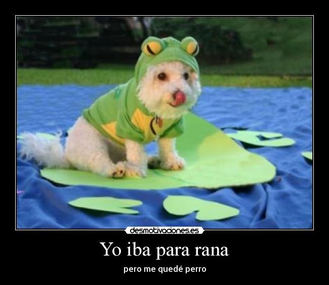 Yo iba para rana - pero me quedé perro