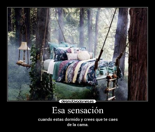 carteles cama desmotivaciones