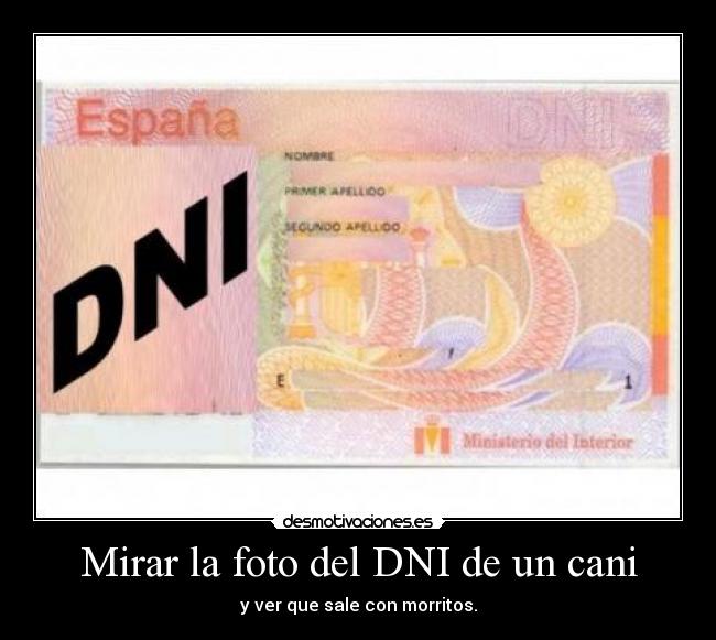 Mirar la foto del DNI de un cani - y ver que sale con morritos.