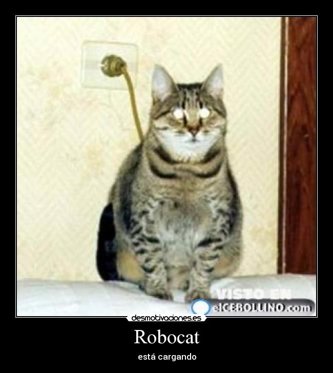 Robocat -