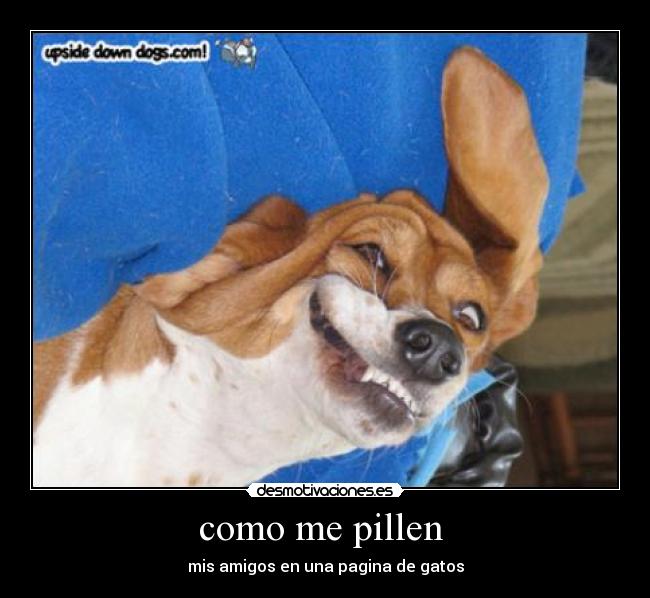 como me pillen  - 