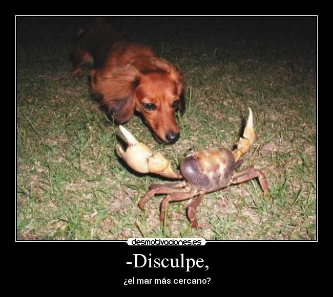 -Disculpe, - ¿el mar más cercano?