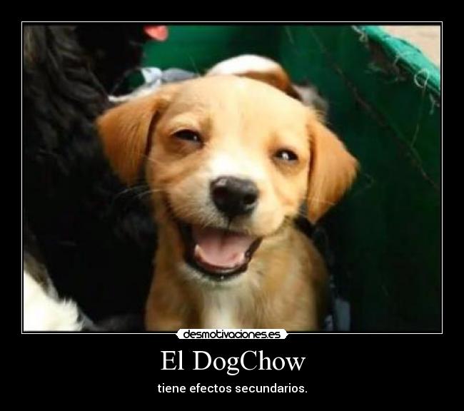 El DogChow - tiene efectos secundarios.