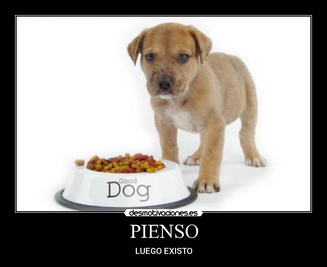 PIENSO - LUEGO EXISTO