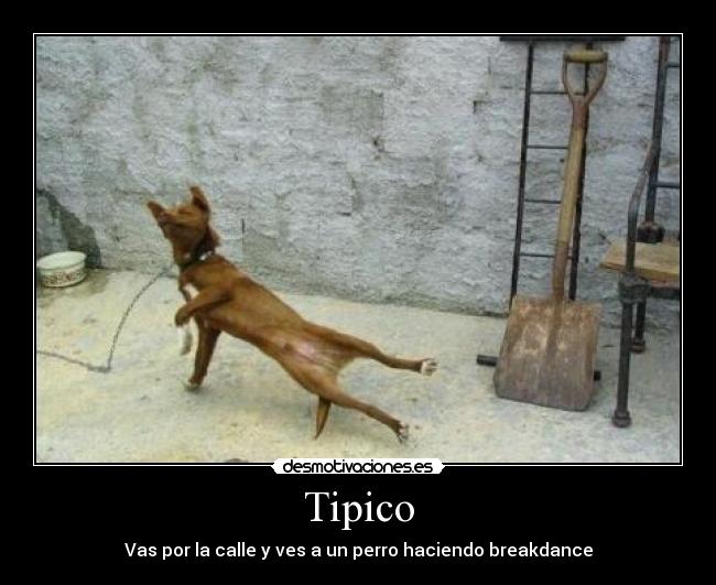 Tipico - 
