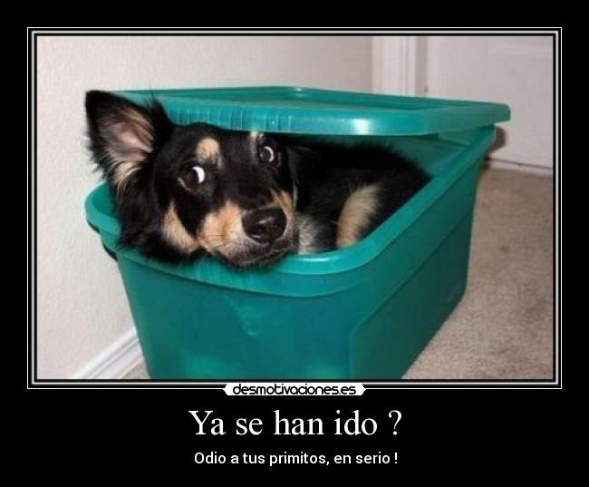 Ya se han ido ? - Odio a tus primitos, en serio !